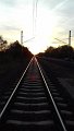 155006 01